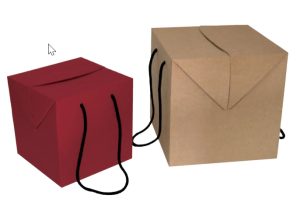 CAIXA TRANSPORTE - CUBE