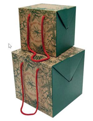 CAIXA TRANSPORTE - CUBE XMAS